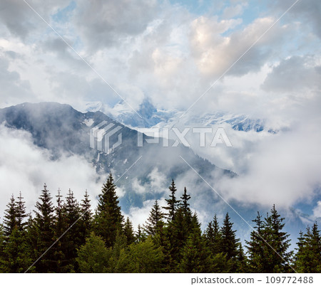 Mont Blanc mountain massif (view from Plaine Joux outskirts) 109772488