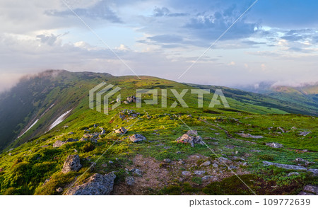 Early morning summer mountain panorama 109772639