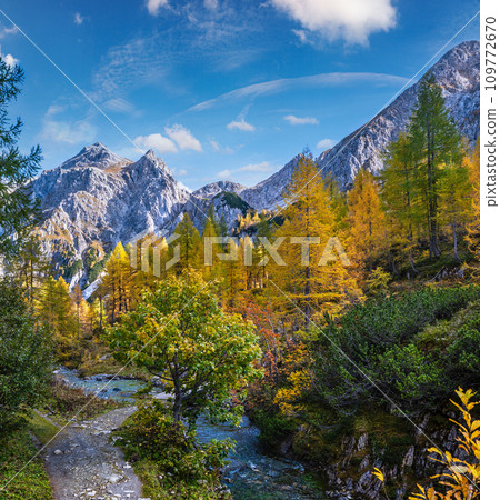 Autumn alpine stream view from mountain hiking path to Tappenkarsee, Kleinarl, Land Salzburg, Austria. Autumn alpine stream view from mountain hiking path to Tappenkarsee, Kleinarl, Land Salzburg, Austria. 109772670