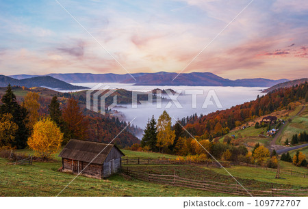 Cloudy and foggy autumn mountain early morning pre sunrise scene. Ukraine, Carpathian Mountains, Transcarpathia. Cloudy and foggy autumn mountain early morning pre sunrise scene. Ukraine, Carpathian Mountains, Transcarpathia. 109772707