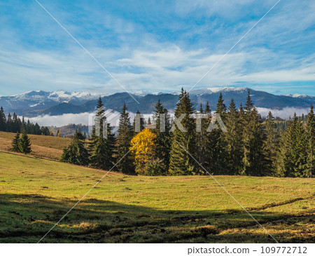 Late autumn mountain morning scene with snow covered tops in far and foggy clouds in valleys. Picturesque traveling, seasonal, nature and countryside beauty concept scene. Carpathians, Ukraine. Late autumn mountain morning scene with snow covered tops in far and foggy clouds in valleys. Picturesque traveling, seasonal, nature and countryside beauty concept scene. Carpathians, Ukraine. 109772712