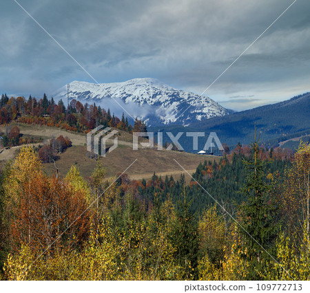 Late autumn mountain scene. Picturesque traveling, seasonal, nature and countryside beauty concept scene. Carpathians, Ukraine. Late autumn mountain scene. Picturesque traveling, seasonal, nature and countryside beauty concept scene. Carpathians, Ukraine. 109772713