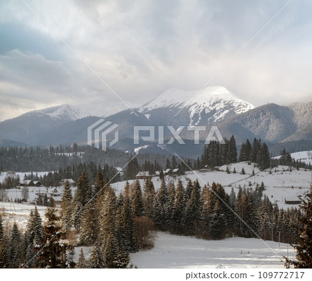 Winter remote alpine mountain village outskirts, countryside hills, groves and farmlands. 109772717