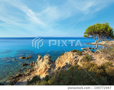 Aegean sea coast (Chalkidiki, Greece). 109772947