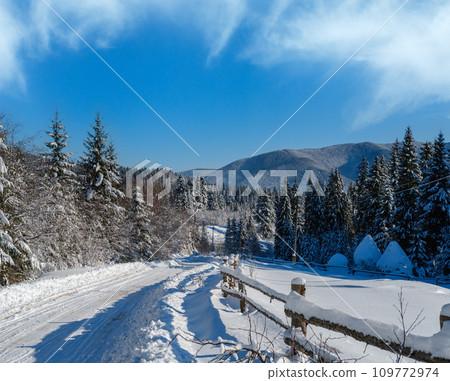 Secondary countryside alpine road to remote mountain hamlet through snowy fir forest, snow drifts and wood fence on wayside 109772974