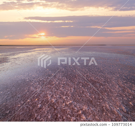 Sunset Genichesk pink  salty lake, Ukraine 109773014