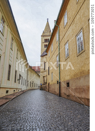 布拉格城堡內的鵝卵石街道 布拉格城堡內的鵝卵石街道 109773051