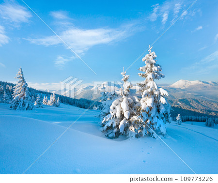 Snowy landscape Snowy landscape 109773226
