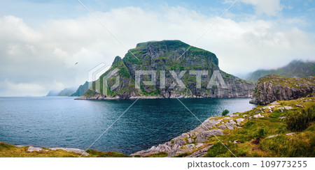 Summer cloudy sea coast panorama, Norway, Lofoten. 109773255