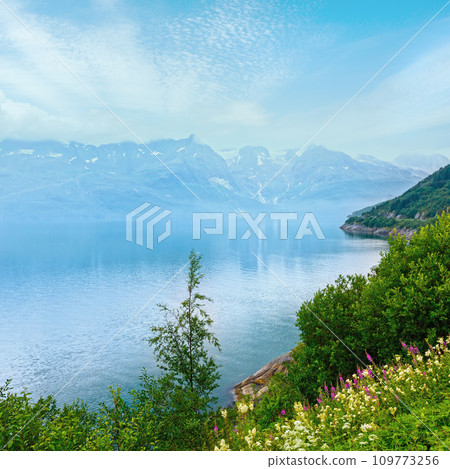 Fjord summer cloudy view (Norway) Fjord summer cloudy view (Norway) 109773256