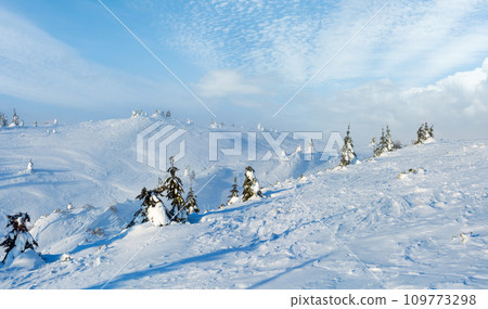 Winter mountain hill panorama. 109773298