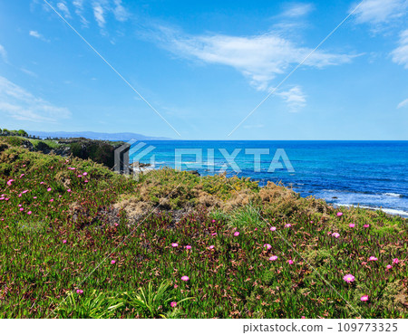 Atlantic blossoming coastline (Spain). Atlantic blossoming coastline (Spain). 109773325