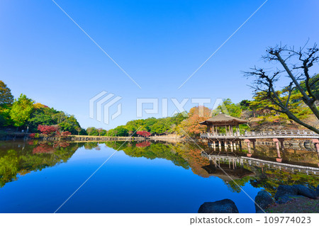 【奈良縣】奈良公園的浮見堂，11月紅葉美麗 109774023