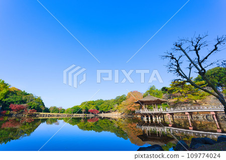 【奈良縣】奈良公園的浮見堂，11月紅葉美麗 109774024