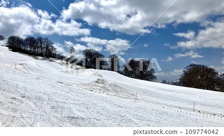 奧只見丸山滑雪場內的春天景色 109774042