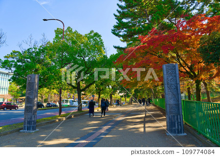 [奈良縣] 11月前往奈良公園賞紅葉的遊客 109774084