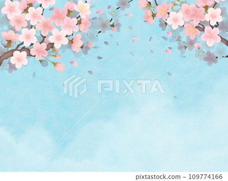 藍天白雲映襯下的櫻花風景 109774166