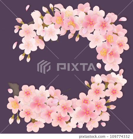Somei Yoshino cherry blossom frame material 109774332