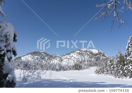Shiga Highlands in winter, Mt. Shiga, Shijuhachiike Wetland 109774338