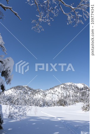 Shiga Highlands in winter, Mt. Shiga, Shijuhachiike Wetland Shiga Highlands in winter, Mt. Shiga, Shijuhachiike Wetland 109774341