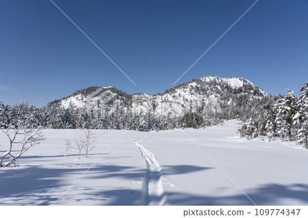 Shiga Highlands in winter, Mt. Shiga, Shijuhachiike Wetland Shiga Highlands in winter, Mt. Shiga, Shijuhachiike Wetland 109774347