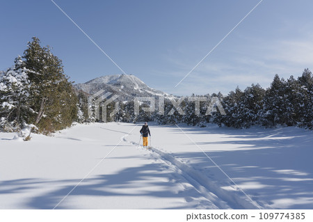 Winter Shiga Kogen Snow Trekking Mountain Skiing 109774385