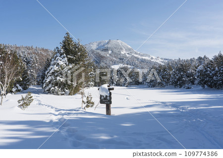 Shiga Highlands in winter: Shibuike Pond and Mt. Yokote 109774386