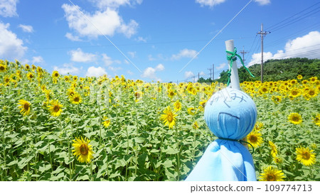 向日葵田和 Terteru Bozu 109774713