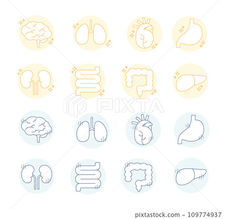 健康的內臟，不健康的器官，插圖，線條畫，簡單的設計，健康，大腦，肺，心臟，胃，腸道 109774937