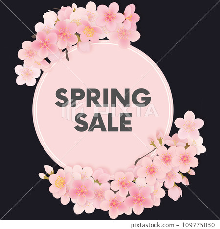 染井吉野櫻花框架材料 染井吉野櫻花框架材料 109775030