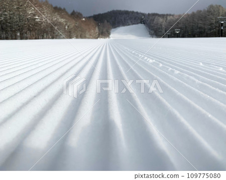菅平滑雪場壓雪車毛毛蟲痕跡 菅平滑雪場壓雪車毛毛蟲痕跡 109775080
