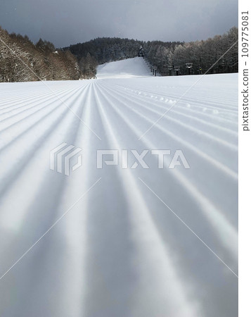 Sugadaira ski resort snow compaction car caterpillar traces Sugadaira ski resort snow compaction car caterpillar traces 109775081