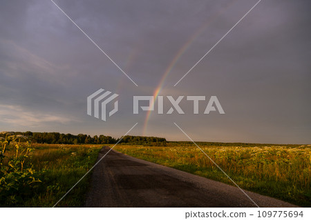 Rainbow over a field road in summer Rainbow over a field road in summer 109775694