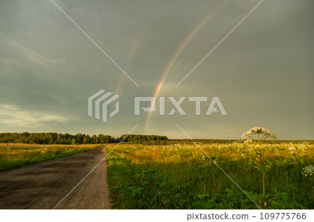 Rainbow over a field road in summer 109775766