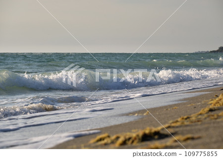 Seaside sand beach with foamy waves crushing on shore 109775855