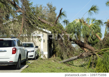 Hurricane damage to a house roof in Florida. Fallen down big tree after tropical storm winds. Consequences of natural disaster 109775898