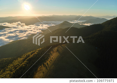 Aerial view of bright foggy morning over dark peak with mountain forest trees at autumn sunrise. Beautiful scenery of wild woodland at dawn 109775971