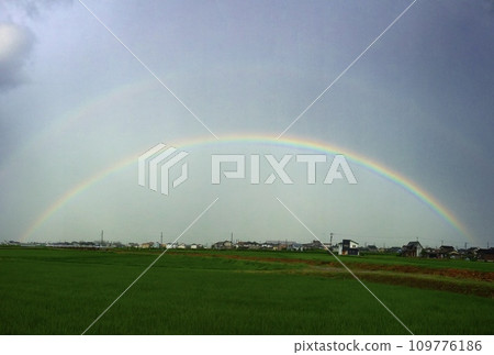 Rainbow over the countryside 109776186
