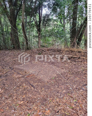 露營後隔天早上搭建的帳篷殘骸 露營後隔天早上搭建的帳篷殘骸 109776431