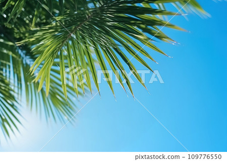 AI-generated content. Palm leaf against clear blue sky, view from ground. Summer tropical background AI-generated content. Palm leaf against clear blue sky, view from ground. Summer tropical background 109776550