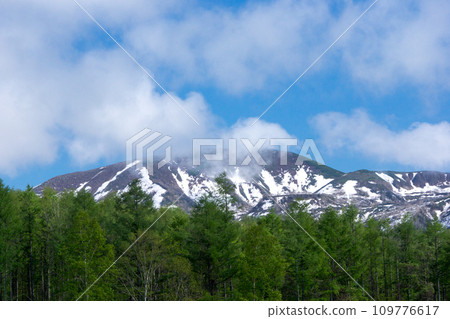 Beautiful snowy mountain 109776617