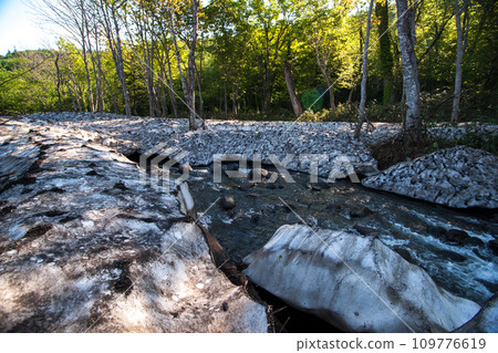 Mountain stream with a lot of remaining snow 109776619
