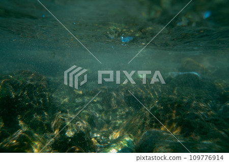in the water, river, clear stream 109776914