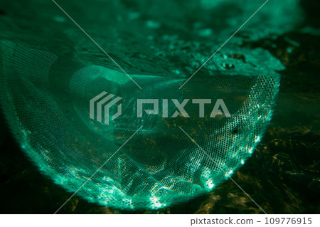 aquatic, net, nets 109776915