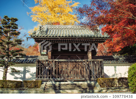 Chokushimon gate and autumn scenery at Saikyoji Temple in Otsu City, Shiga Prefecture Chokushimon gate and autumn scenery at Saikyoji Temple in Otsu City, Shiga Prefecture 109778438