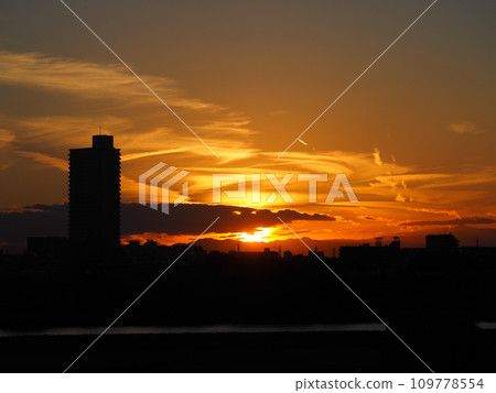 荒川堤壩的金色夕陽 荒川堤壩的金色夕陽 109778554