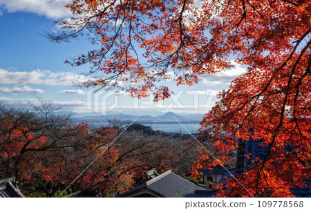 Lake Biwa and autumn scenery visible from the grounds of Saikyoji Temple in Otsu City, Shiga Prefecture 109778568
