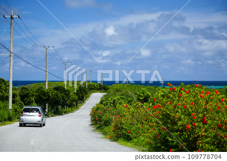 Summer Okinawa Miyakojima Drive Ikema Island Hibiscus 109778704