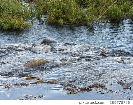Weir of the Asuka River flowing through Asuka Village 109778736