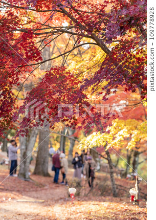 山中湖秋節節 109778928